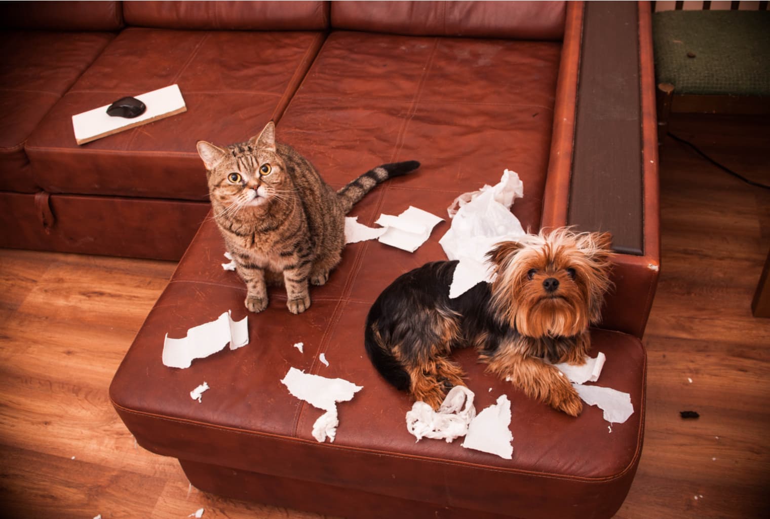 This Week in Bitcoin: $8 Billion BTC Trust and Maximalists Misbehaving