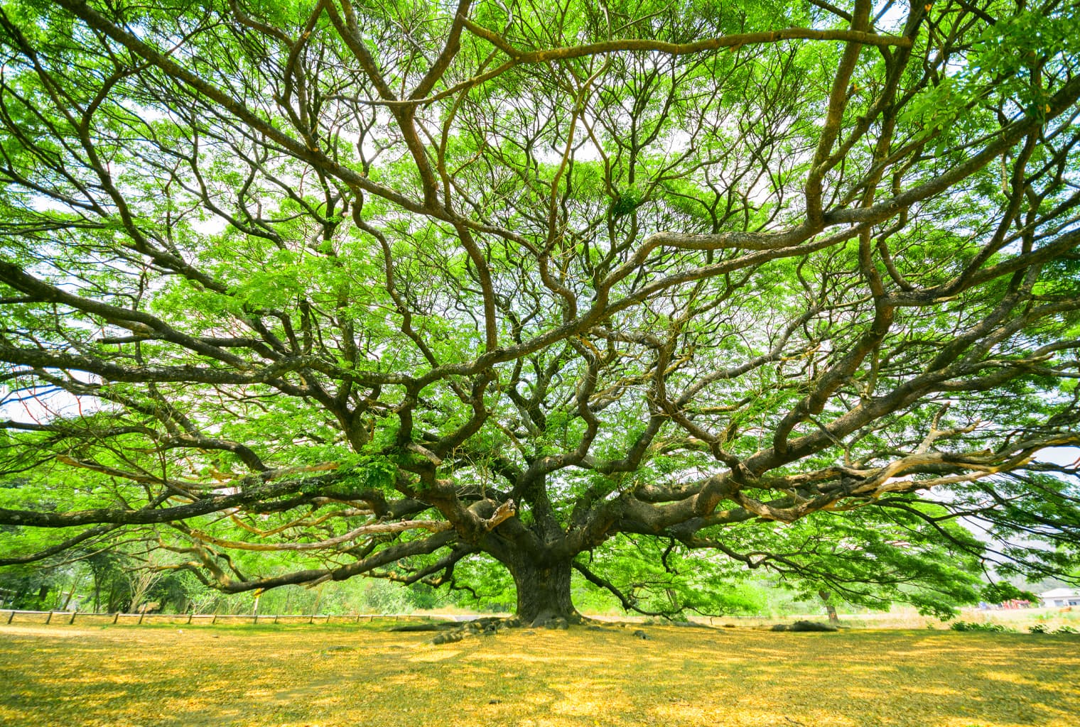 Wisdomtree's Physically Backed Bitcoin ETP Goes Live on SIX Stock Exchange