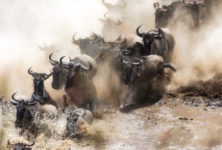 Bitcoin Futures Hit 3-Month High in Frenetic Tuesday Trading