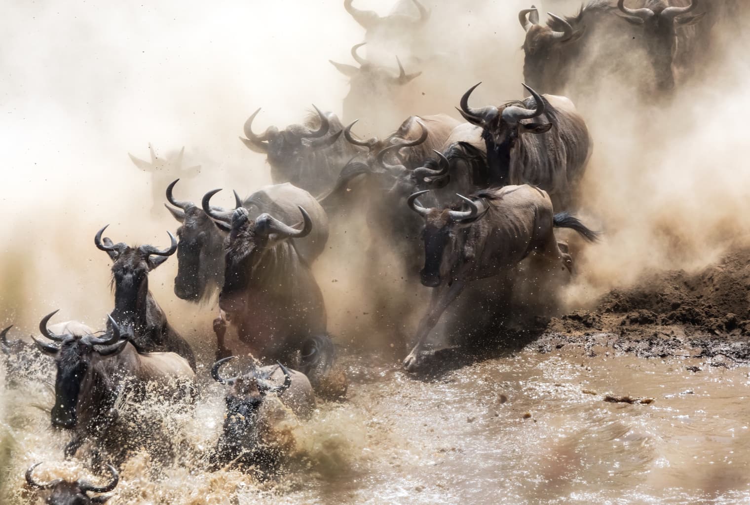 Bitcoin Futures Hit 3-Month High in Frenetic Tuesday Trading