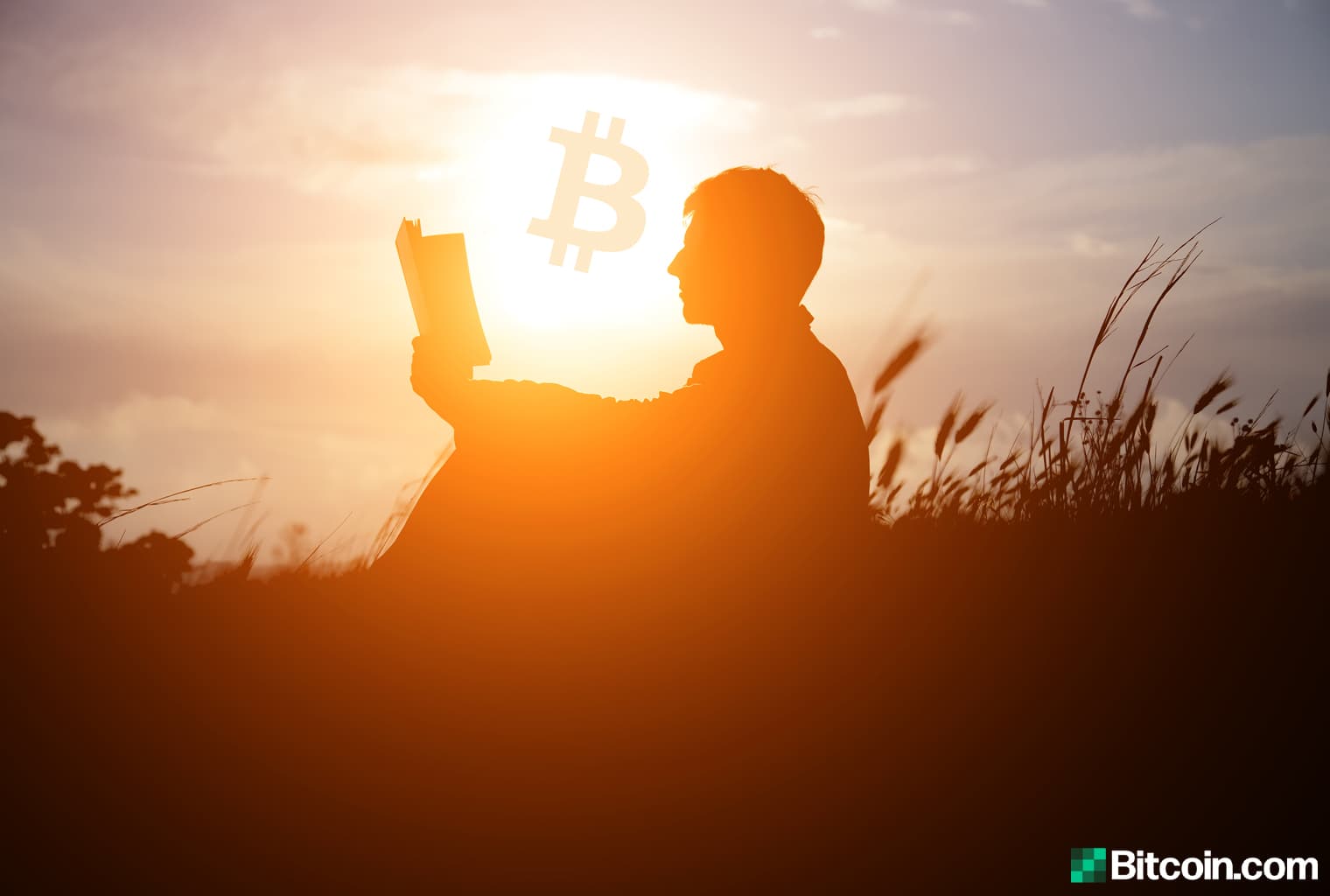 Wielding the Tools of Liberty: Exploring Wendy McElroy's Latest Book 'The Satoshi Revolution'