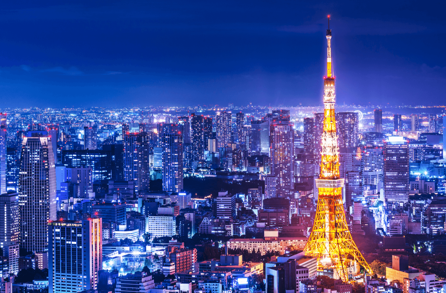 Bitcoin Cash Meetups Go Virtual in Japan to Combat Virus, Allowing Members to Choose