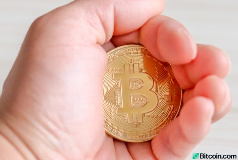 HODL Waves Chart Reveals Bitcoin Holders’ Firm Grip - 42% Hasn’t Moved in 2 Years