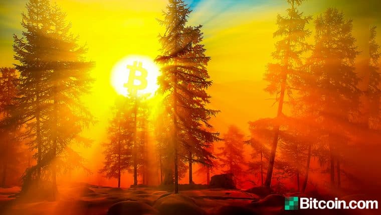 10-Year-Old Block Rewards Wake Up: Data Parsers Catch a String of 1,000 'Satoshi Era' Bitcoins from 2010 Spent Today