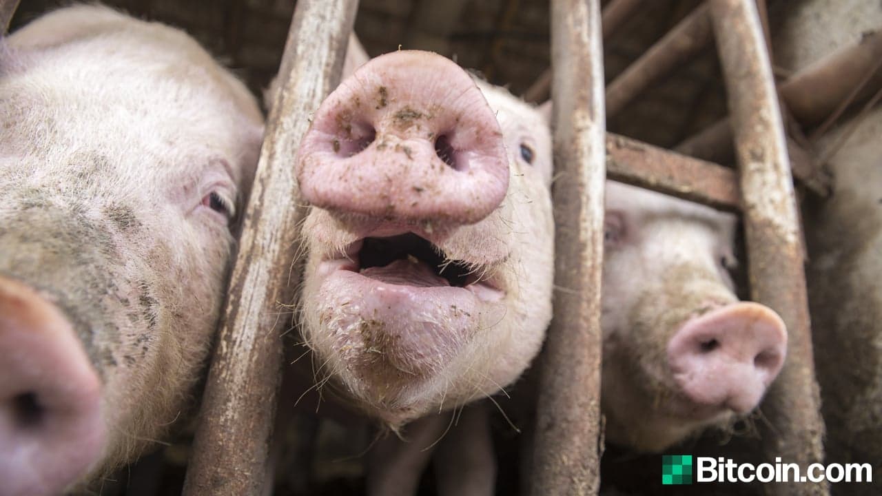 Let Them Eat Cake: Congress Approves a $900 Billion Stimulus Package, Billions in Pork Funds, Federal Employees Get a Raise