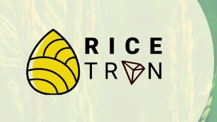 Rice-Based Stablecoin Is Being Launched in Indonesia