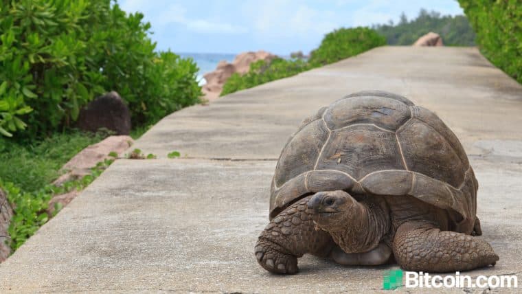 Dollar-Cost Averaging Crypto Profits: Low-Risk Bitcoin Investing Without All the Stress