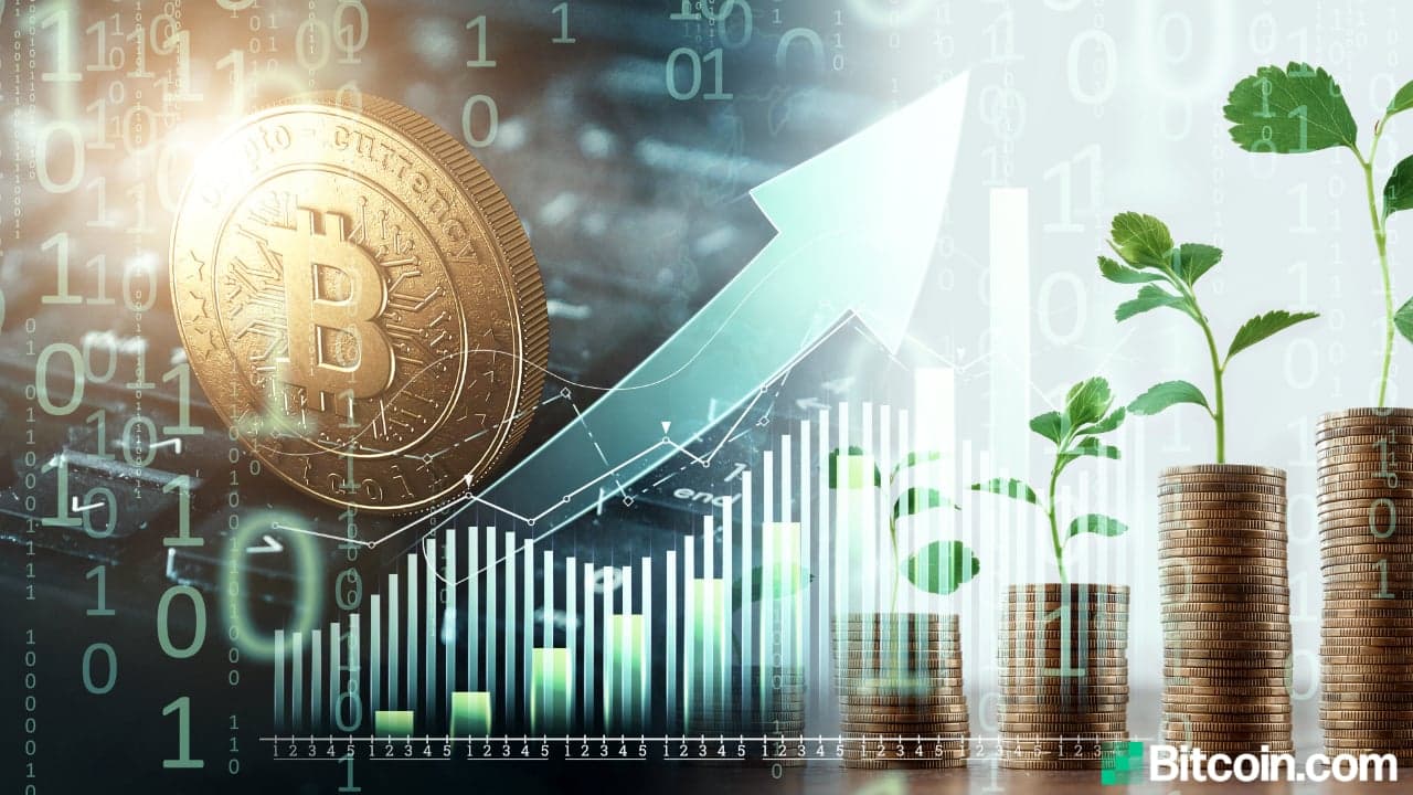 Boomers Next to Adopt Crypto, a Trillion Dollars Could Flow Into Bitcoin Over the Next Year, Says Novogratz