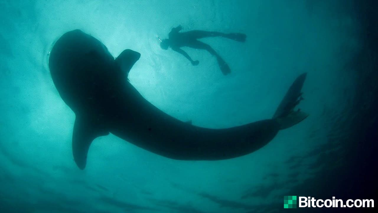 Old School Bitcoin Whales Are Moving: This Week a Single Entity Transferred 10,000 BTC Acquired in 2013