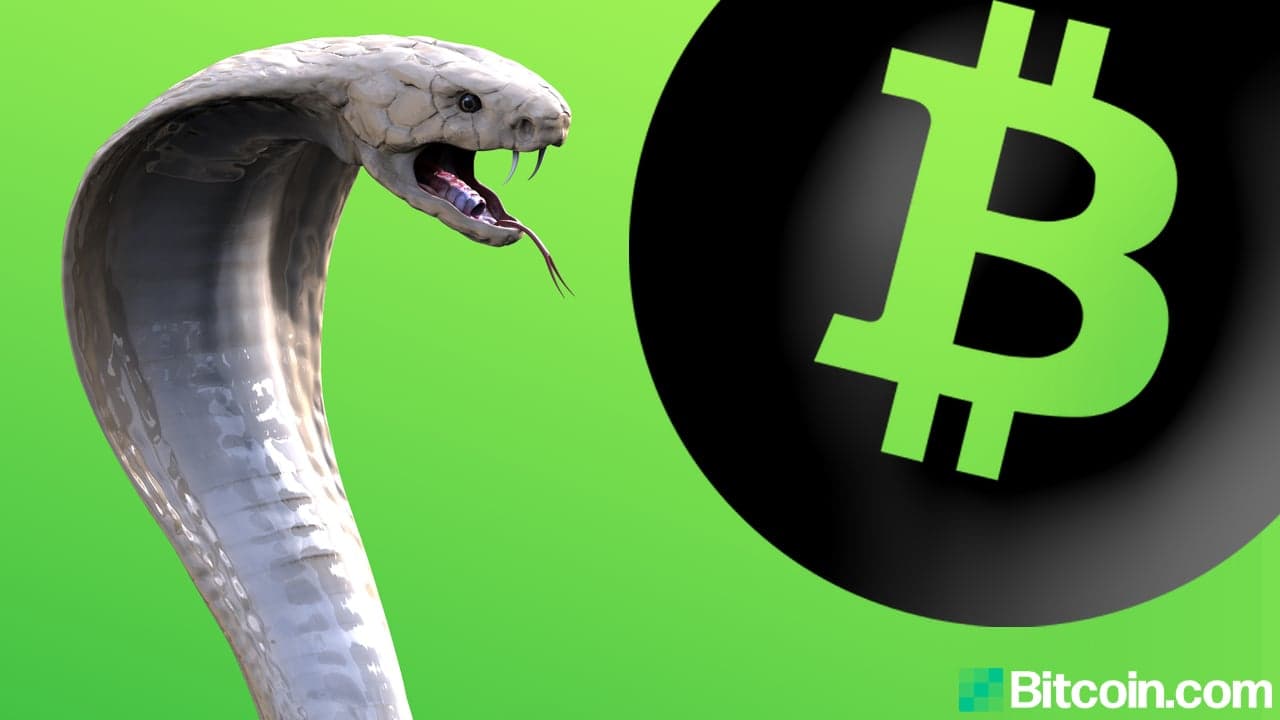 Craig Wright's Law Firm Granted Permission from High Court to Serve Bitcoin.org Operator Cobra