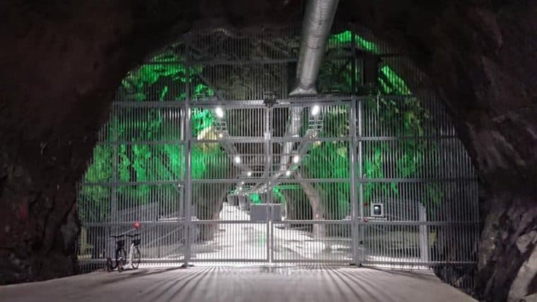 Little Green Mining Hood or the Big Bad Wolf: Musk’s Sustainability Play