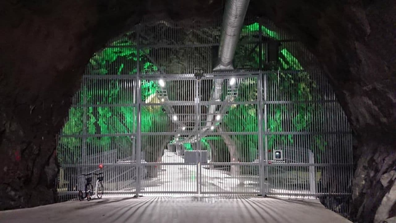 Little Green Mining Hood or the Big Bad Wolf: Musk’s Sustainability Play