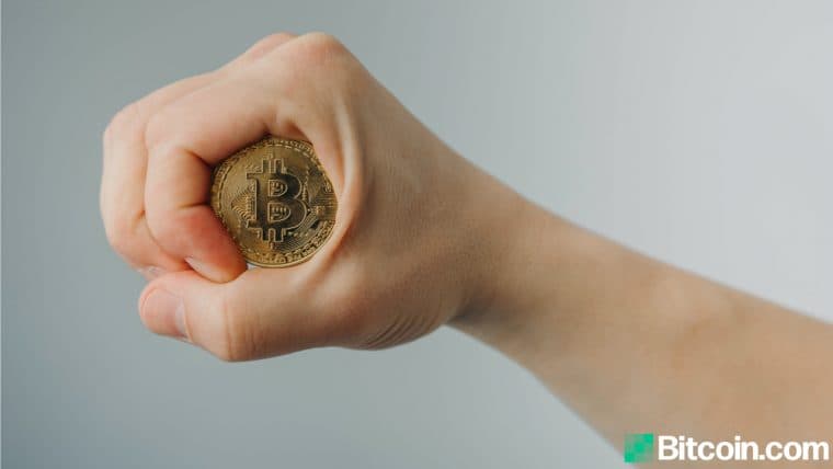 Data Shows Bitcoin Addresses in Accumulation Captures Fresh New Highs