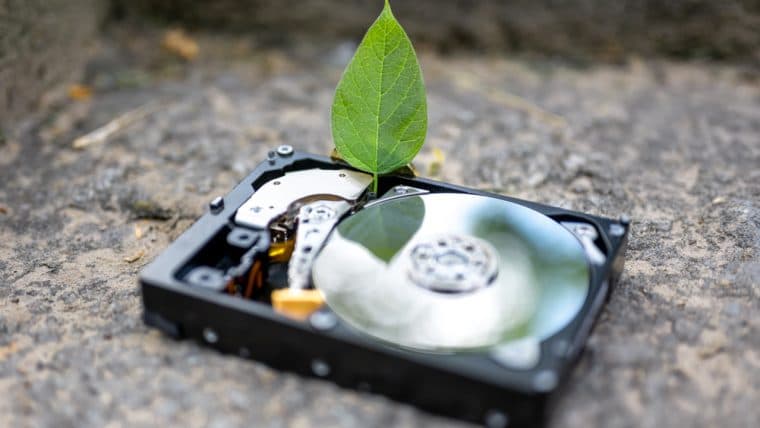 Chia Is Eyeing to Launch an IPO This Year