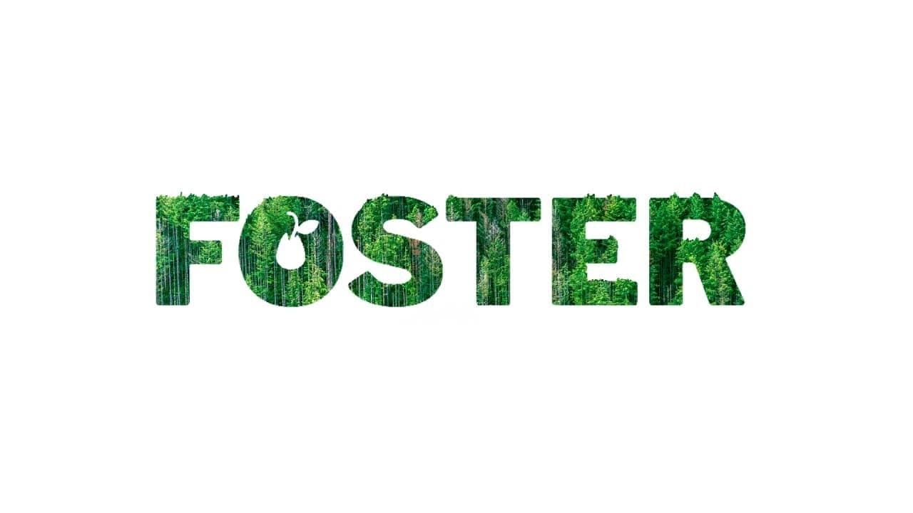 Solving the Climate Change Problem Using Blockchain Technology - Start of the FOSTER Project