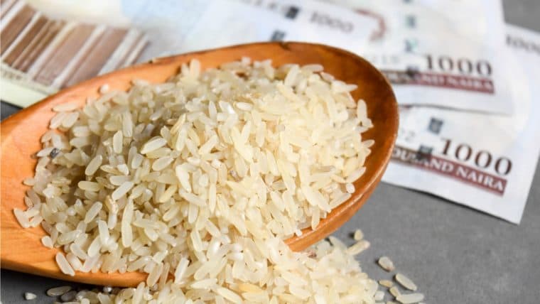 New World Bank Report: Nigeria's Exchange Rate Policies Fueling Inflation, Affecting Food Prices