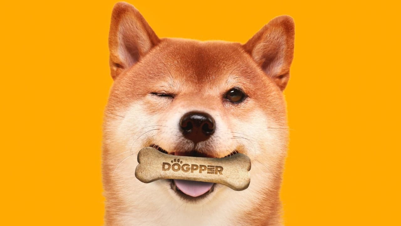 Brazilian Burger King Customers Can Now Purchase Meat-Flavored Dog Biscuits With Dogecoin