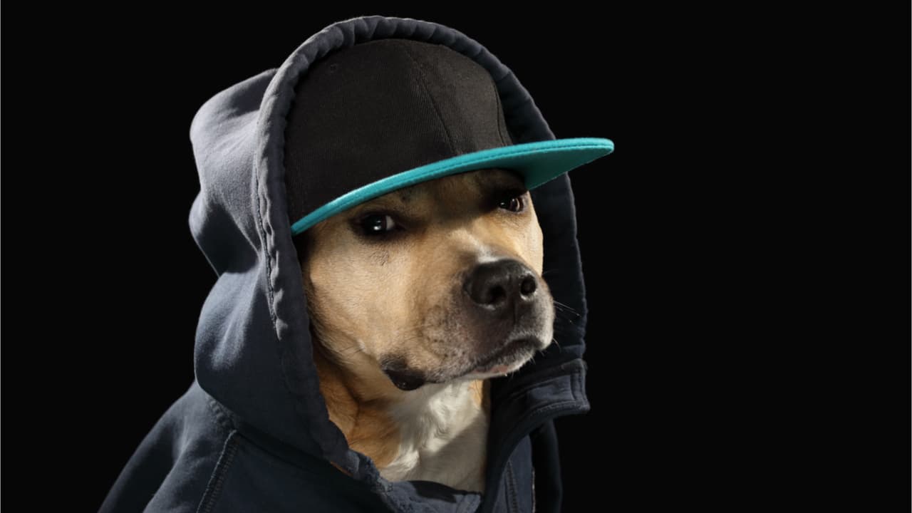 Nigerian Pop Artist Shills Meme Coin and Price Briefly Doubles — Followers Question Artist's Motives