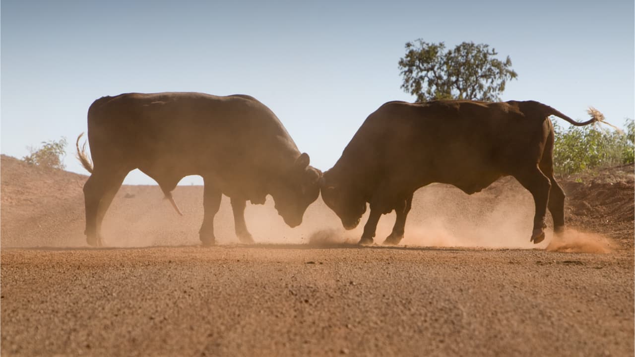 S2F Creator Envisions a '2nd Leg of This Bitcoin Bull Market,' Onchain Data Shows BTC Accumulation