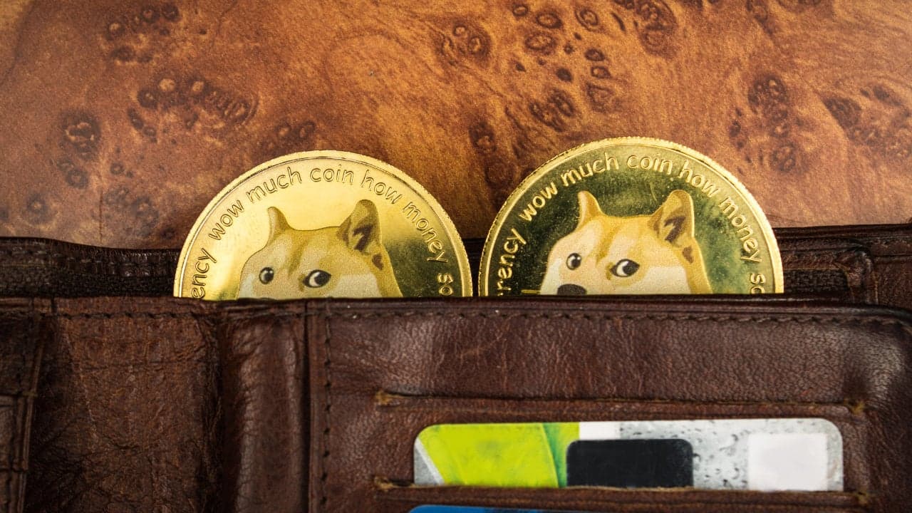 Crypto Exchange Binance Explains Its 'Rare' Dogecoin Issue — Resumes DOGE Withdrawals