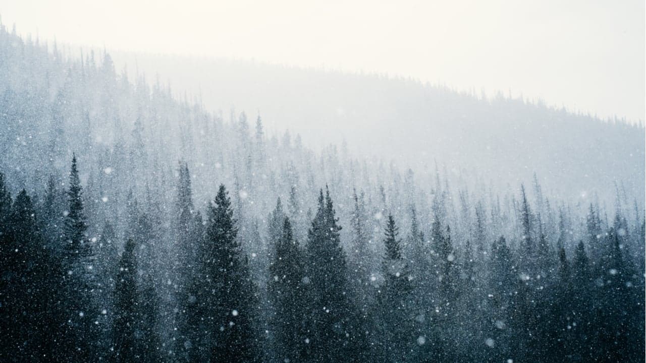 Avalanche Foundation Launches $200 Million Blizzard Fund to Entice Innovation on Its Chain