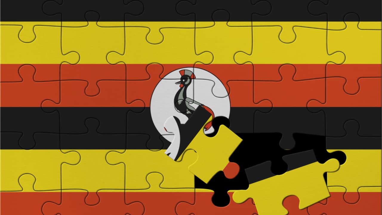 'Ponzi Schemes Have Created a Negative Reputation for the Industry' — Uganda Blockchain Advocate