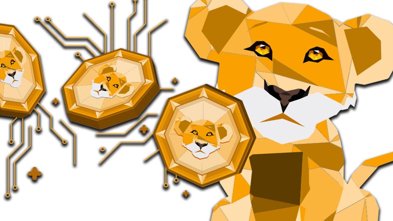 LeoFinance Founder Khal Kazi Discusses PolyCub and How DeFi and Web3 Can Change Your Life