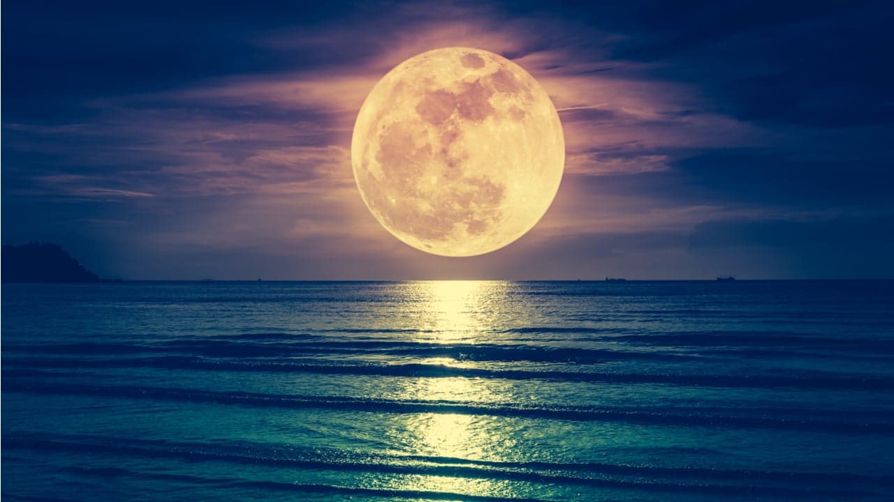 Demand for UST Keeps Rising, Luna Foundation Guard to Burn 4.2 Million LUNA From Treasury