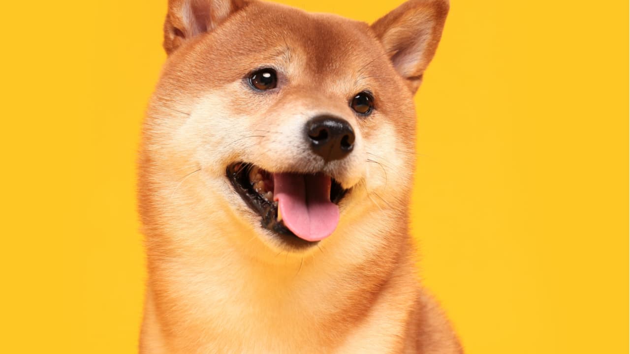 Shiba Inu Presents SHIB Metaverse With Over 100K Land Plots