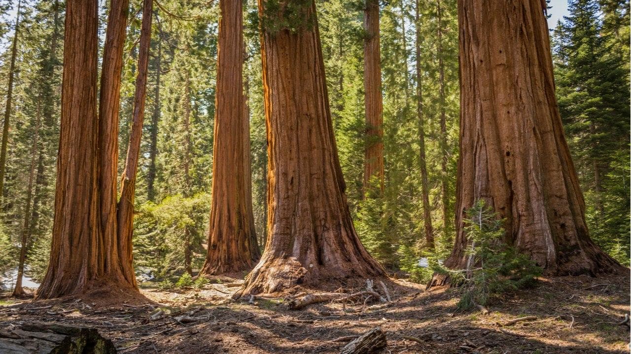 Sequoia Capital Partner Believes Lots of VCs Will Pull Back From Crypto