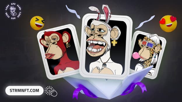 Project Kick-Off: STRMNFT Marketplace Hits 5,000 Registered Users