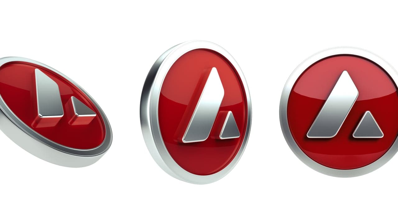 Avalanche Co-Founder Emin Gün Sirer Discusses Macro Conditions and AVAX Sliding in Value