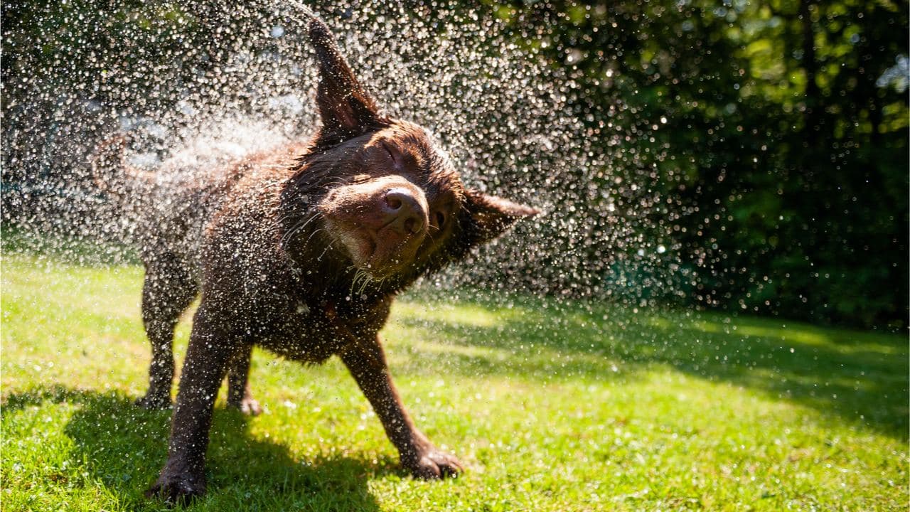 70 to 90% Down — Crypto Economy's Decline Shakes Out $2 Trillion in 8 Months