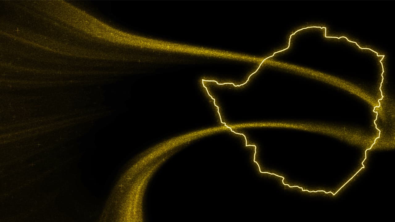 Zimbabwe Central Bank: Gold Coin Sales to Commence in Late July