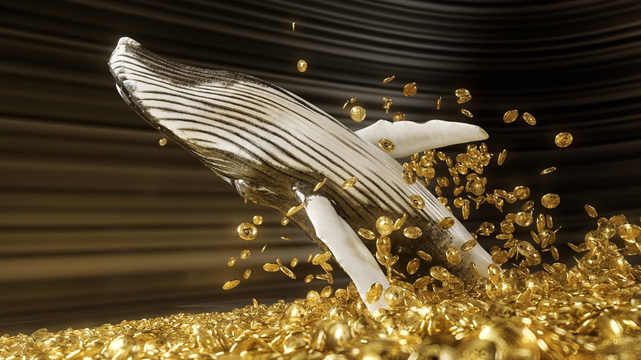 Whale Spends 10,000 BTC Worth $203M, Bitcoins Stem From the Infamous 2011 Mt Gox Hack