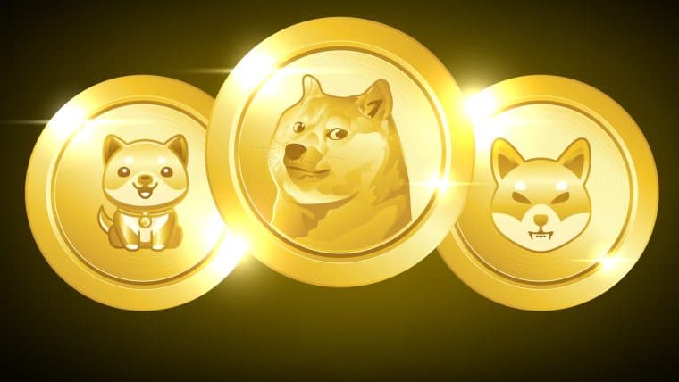 While Gains Have Been Slower Than Most Crypto Assets, Meme Coin Economy Swells by 24%