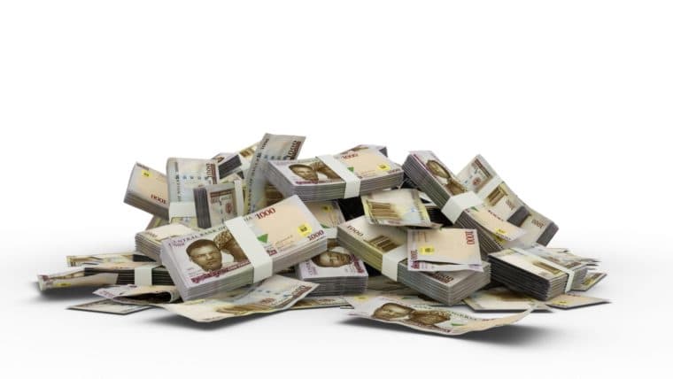 Nigerian Central Bank Told to Consider Floating the Naira, Recent Interest Rate Hike Slammed