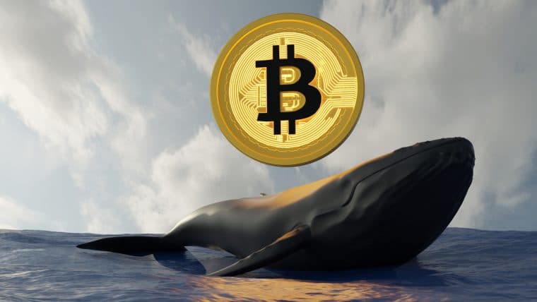 BTC Whale Transfers $940 Million Out of Coinbase — 3 Batches of 'Sleeping Bitcoins' From 2011 Move
