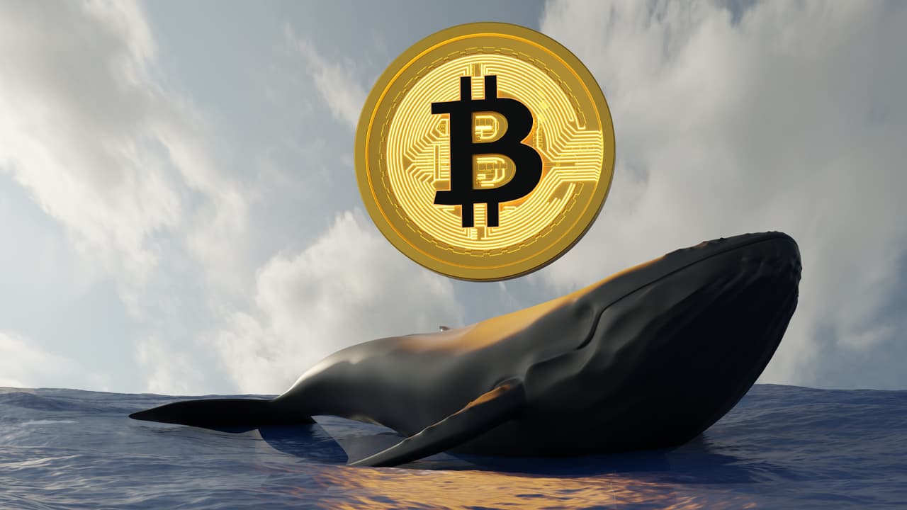 BTC Whale Transfers $940 Million Out of Coinbase — 3 Batches of 'Sleeping Bitcoins' From 2011 Move