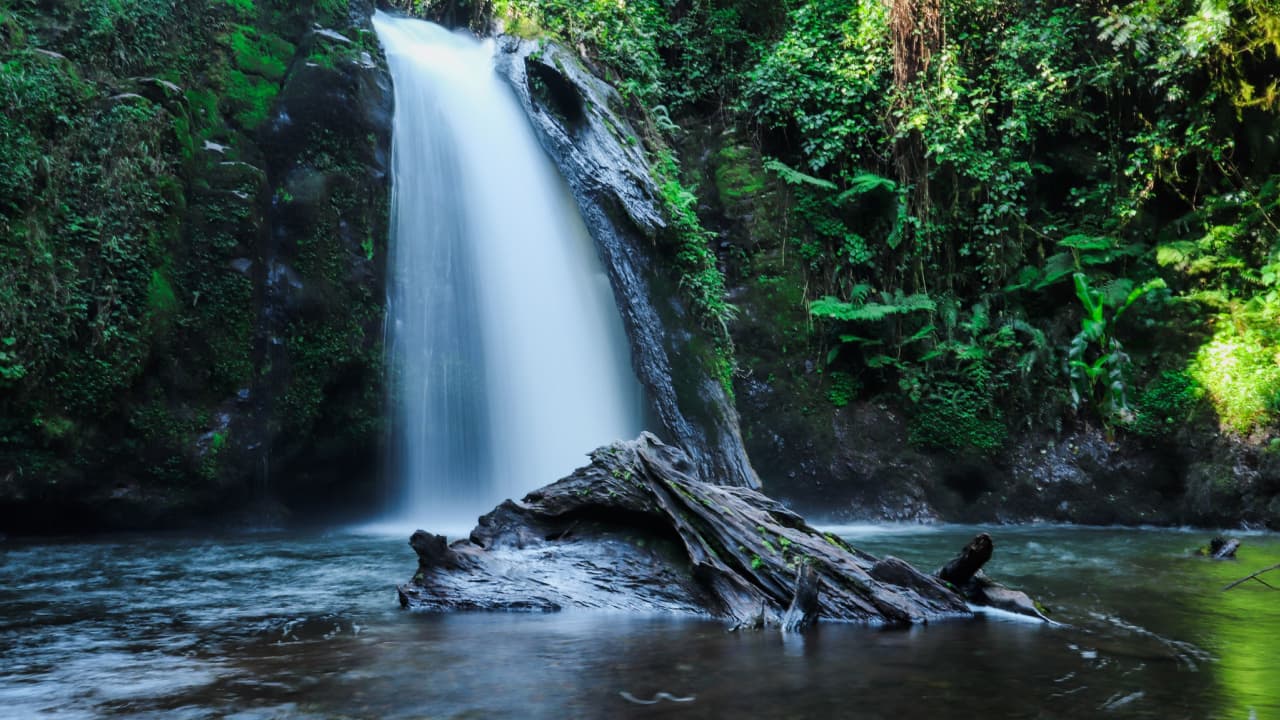 Kenyan Firm Using Wasted Energy to Mine Bitcoin — Business Model Said to Potentially Help Decentralize Mining