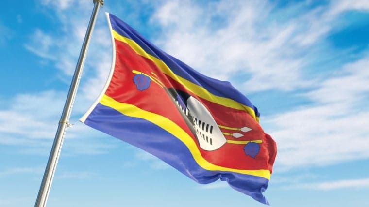 Eswatini Central Bank Partners With German Firm to Explore CBDC