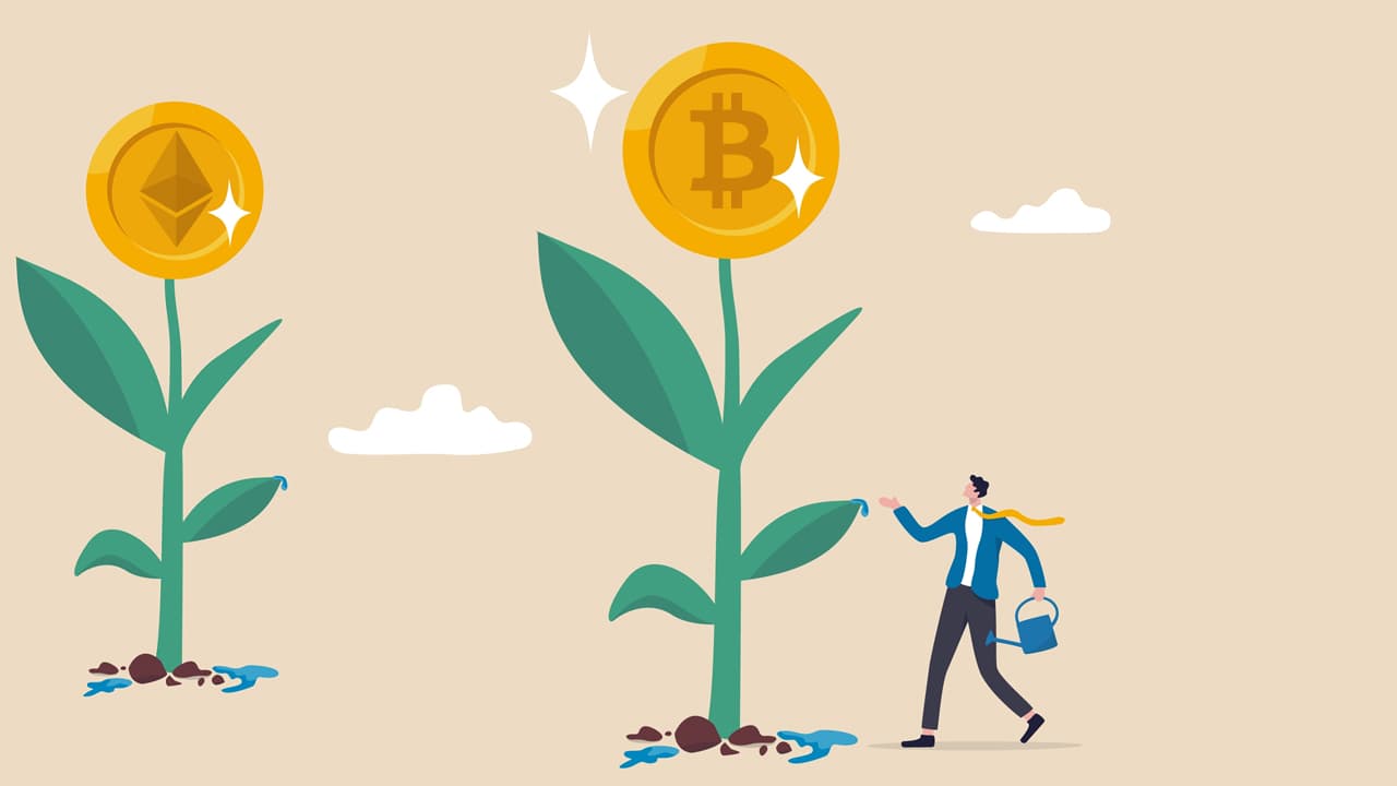 Hashkey Capital Raises $500 Million for Its Third Fund, Despite Crypto Market Downturn