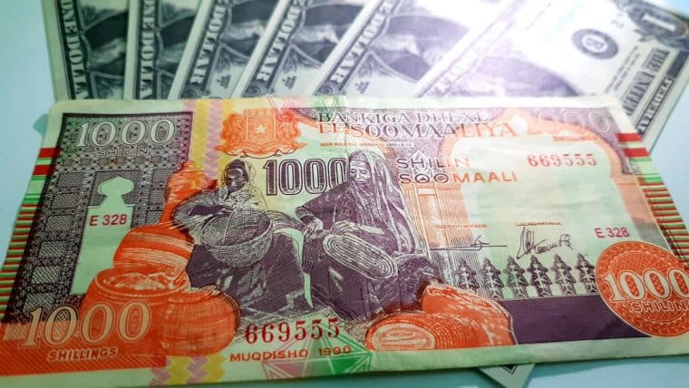 Report: Somalia to Fight Inflation and Counterfeiters With New Banknotes