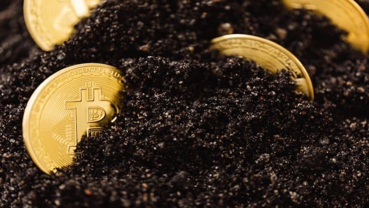Number of Irretrievably Lost BTC Now 6 Million — Cane Island Manager