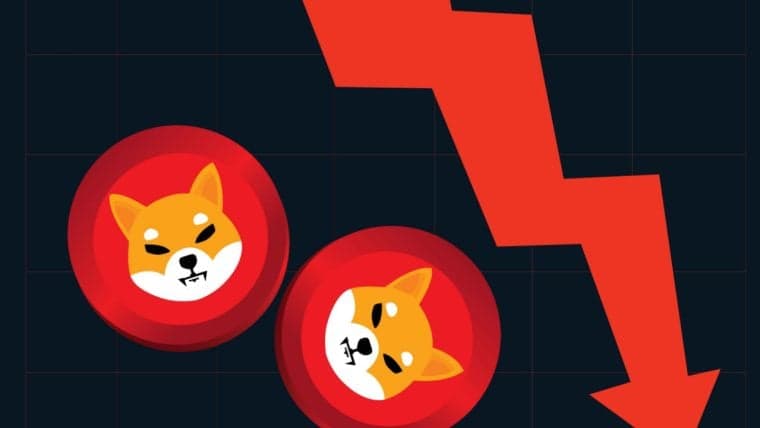 Biggest Movers: DOGE, SHIB Fall to Lowest Levels Since January