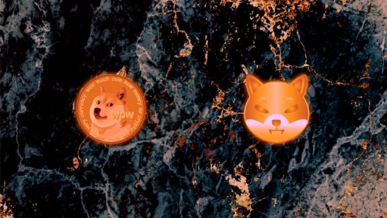 Biggest Movers: DOGE, SHIB Slip Following ECB Rate Hike