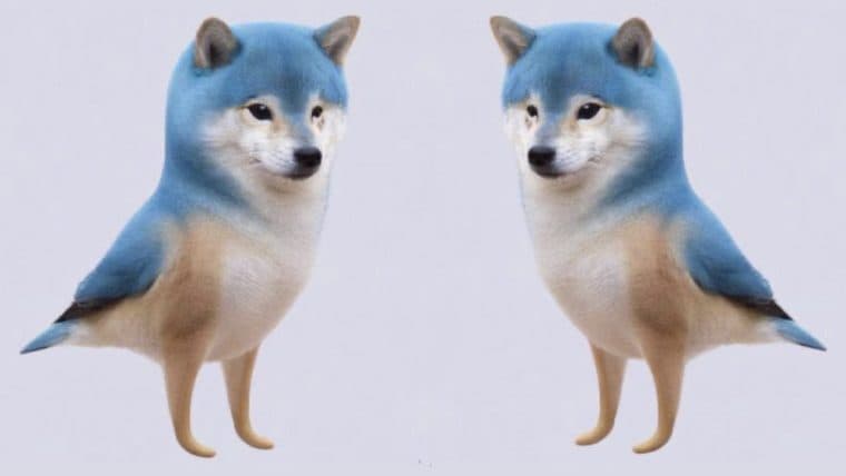 ‘Totally Irresponsible’ — Bitcoin Proponents Express Discontent Over Twitter's Doge Logo Change