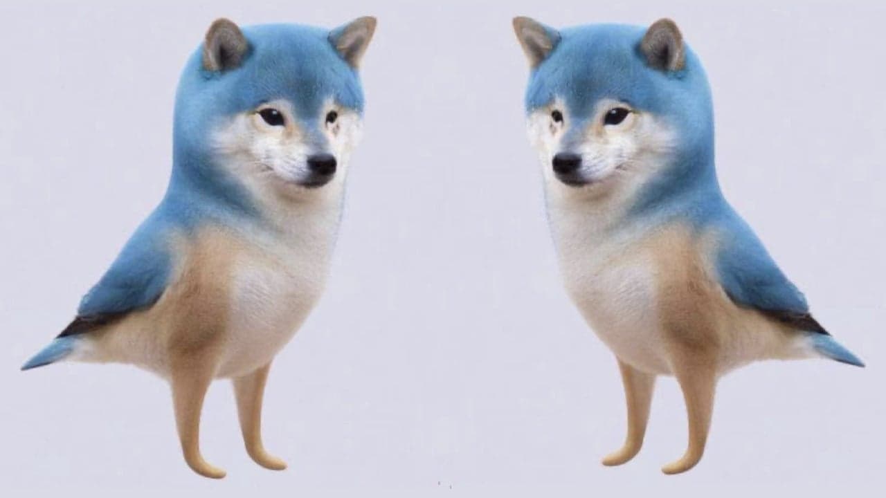 ‘Totally Irresponsible’ — Bitcoin Proponents Express Discontent Over Twitter's Doge Logo Change