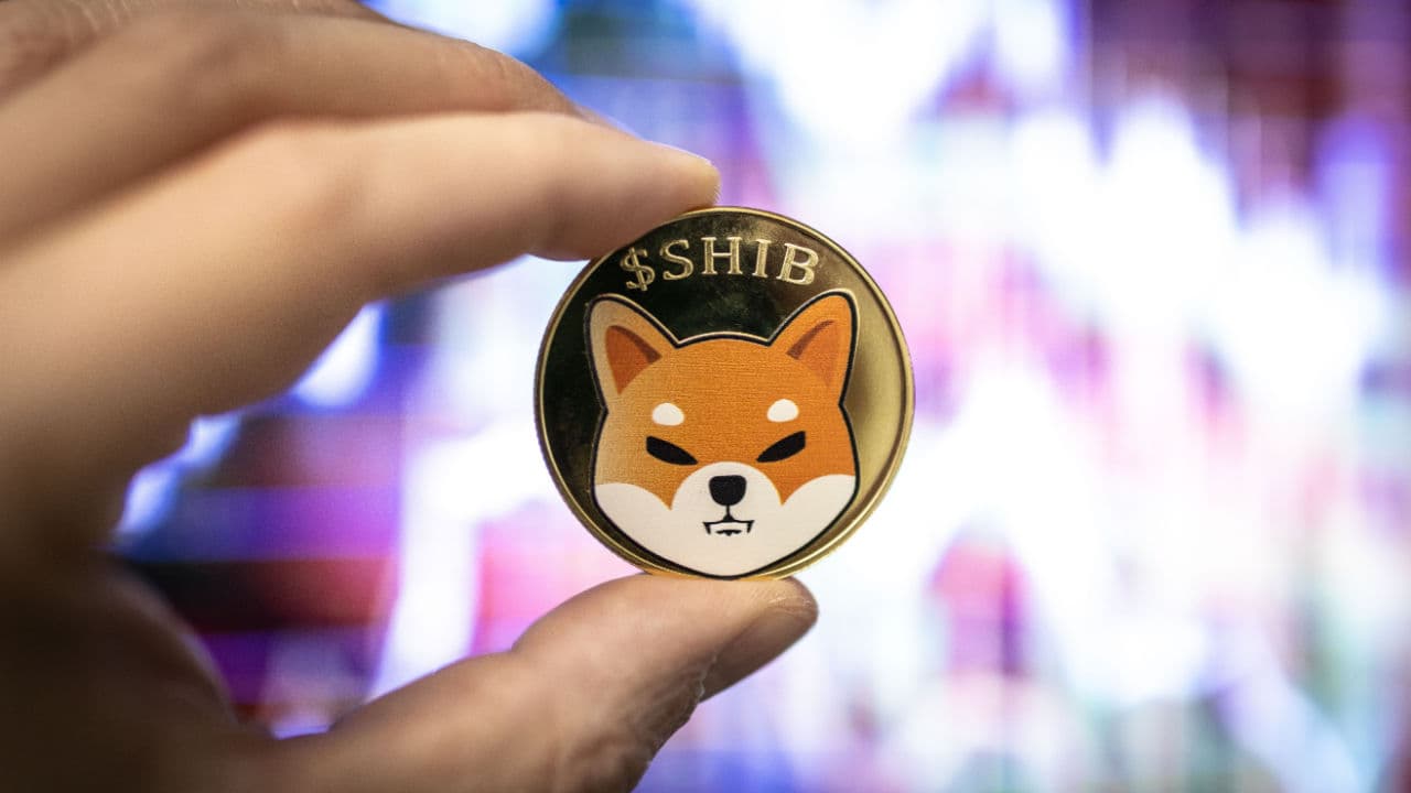 Biggest Movers: SHIB, BNB Rebound From Key Price Floors on Tuesday