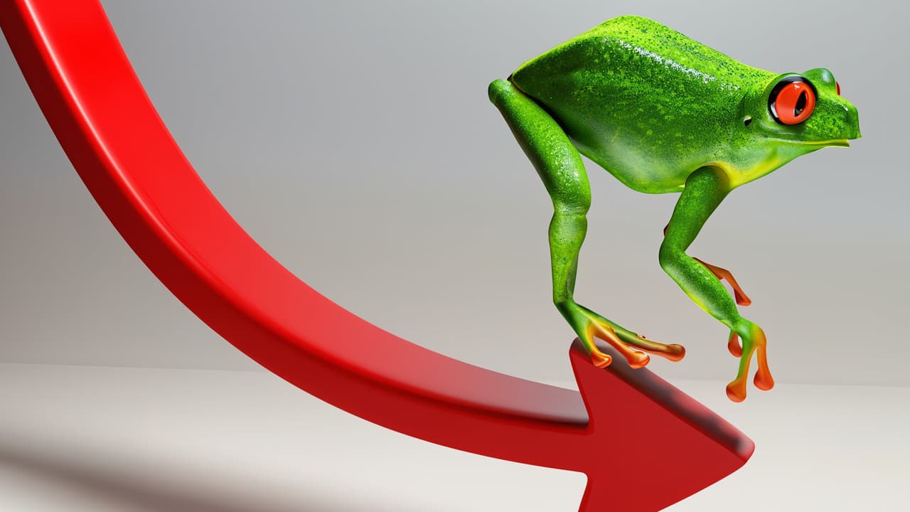 Meme Coin Pepe Sees Steep Decline in 30 Days, Losing 70% Since All-Time High